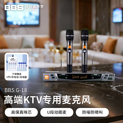 bbs无线话筒一拖二唱吧k歌舞台