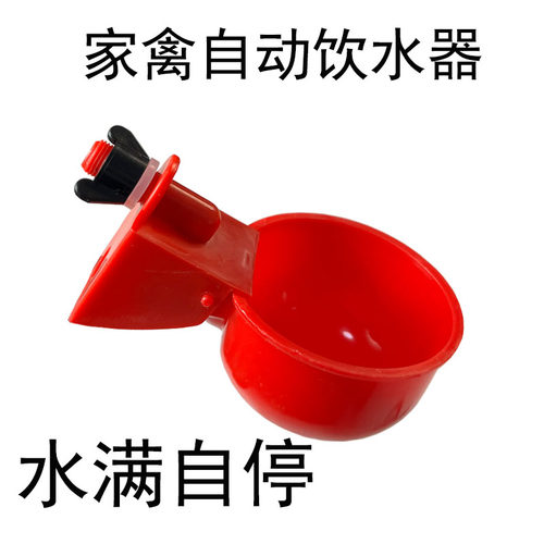 鸡用自动饮水碗鸽子鹌鹑饮水碗饮水器小鸡雏鸡喝水碗鸟用饮水喂水