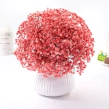 Полный тиантиан сухой цветочный зверь истинный цветочный гостиная, домашнее украшение, мигающие цветы Юньнань натуральные свежие свежие свежие букет