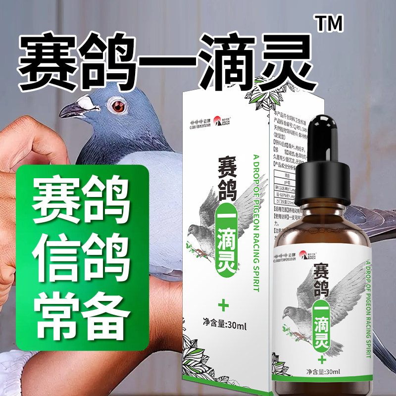 赛鸽一滴灵信鸽赛鸽用家用鸽子鸟类养殖专用鸽子用品植物饲料原料