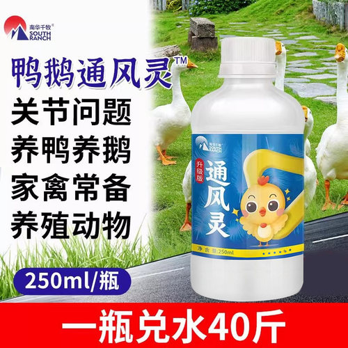 鸭鹅通风灵鸡鸭家禽关节问题站立不稳养殖常备用品畜禽饲料添加剂