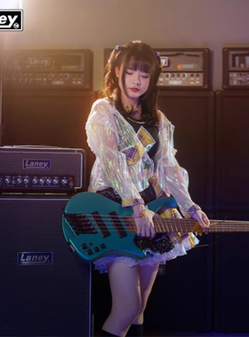 Laney(兰尼)DB500H电贝司系列箱头音箱DBV810-4 箱体正品行货包邮