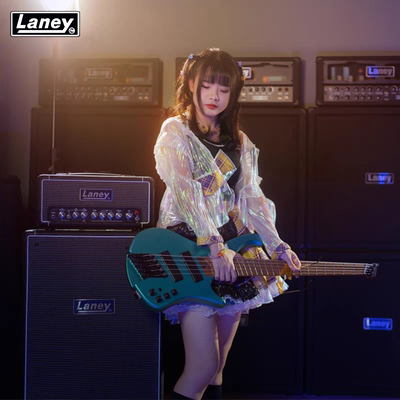 Laney(兰尼)DB500H电贝司系列箱头音箱DBV810-4 箱体正品行货包邮