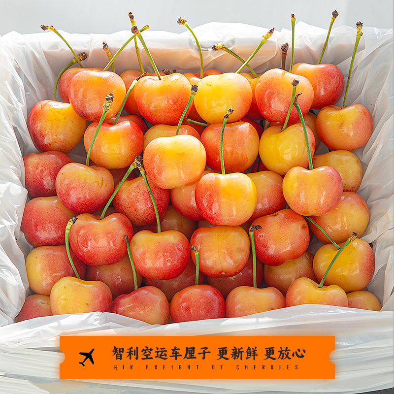 智利空运皇家雷尼尔车厘子