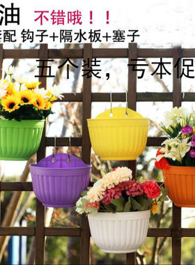五个装绿萝专用花盆吊篮盆半圆形壁挂花盆树脂花盆塑料花盆大号