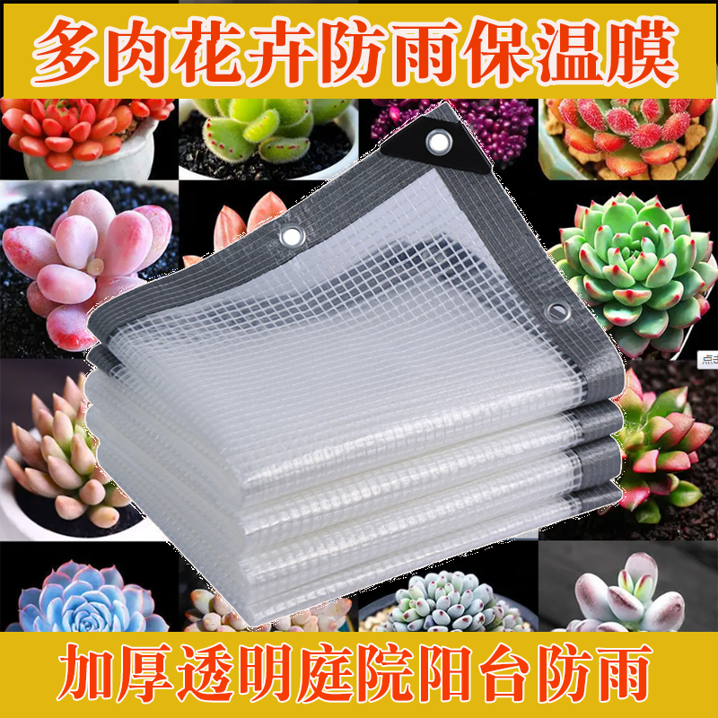 透明网格多肉遮雨防水塑料棚花架阳台户外窗花卉挡雨透明布罩蓬布