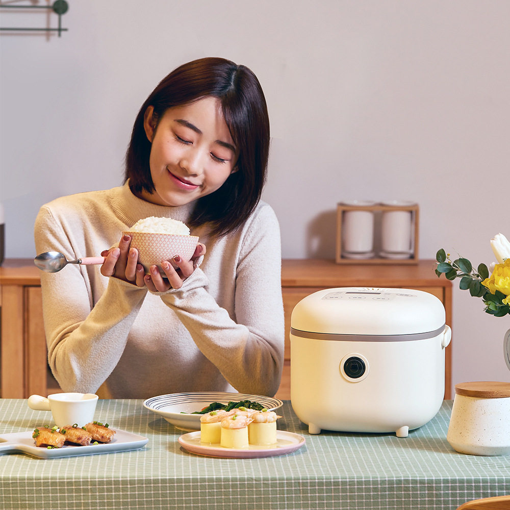 bear/小熊 dfb-b20a1电饭煲家用2l迷你煮饭电饭锅小型智能厚釜3-4