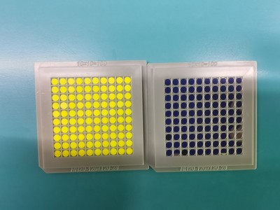 【透射式】蓝光透射荧光片激发白光 白激光荧光片 蓝光转白光专用