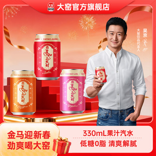 吴京代言大窑汽水嘉宾橙诺果汁碳酸饮料330mL*12罐