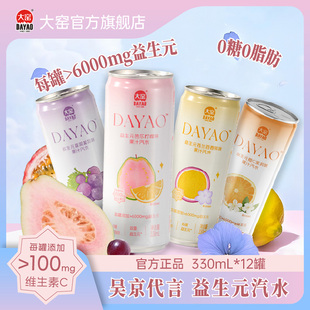 大窑益生元气泡水330ml*12罐