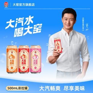 【吴京代言】大窑嘉宾饮料橙诺汽水荔枝500mL*16易拉罐橙子味