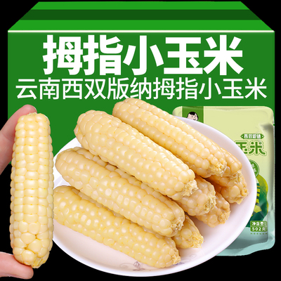 滇二娃云南西双版纳拇指小玉米新鲜香糯甜糯手指玉米儿童即食早餐