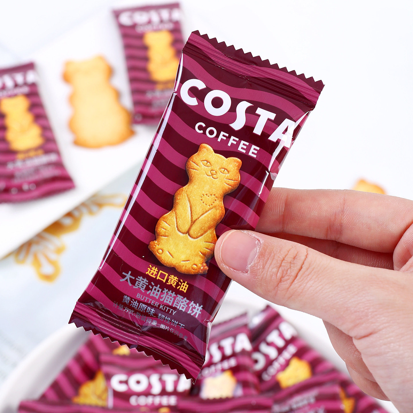 COSTA咖世家大黄油猫酪饼结婚卡通造型包装零食下午茶点心喜饼
