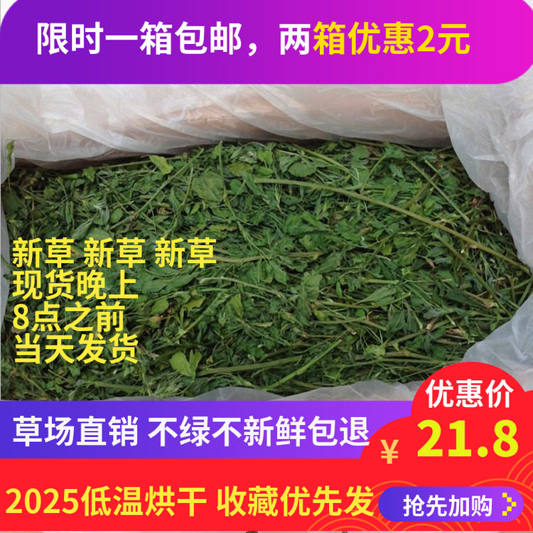 2024年新烘干苜宿紫花苜蓿草龙猫牧草兔粮饲料干草毛重1000克到货