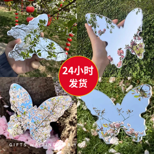 镜中花海 蝴蝶形状镜子拍照道具春天拍花镜子24小时发货摄影道具