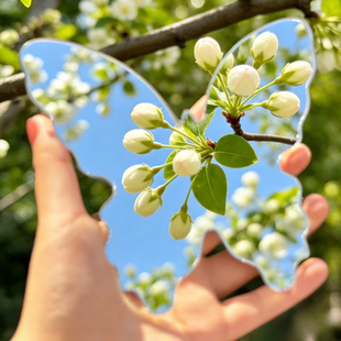 海棠花与镜子的碰撞~蝴蝶形状镜子摄影道具异形镜子亚克力摔不碎