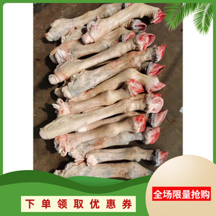 带皮驴蹄子正宗新鲜驴蹄驴腿掌长腿驴脚带腿蹄筋毛驴肉现宰按个