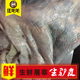 山东生驴皮新鲜现宰整张正宗烫毛驴皮生驴肉真空制作黑阿胶糕块