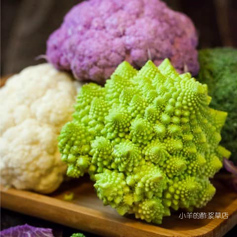 疯狂的小羊意大利花椰菜西兰花