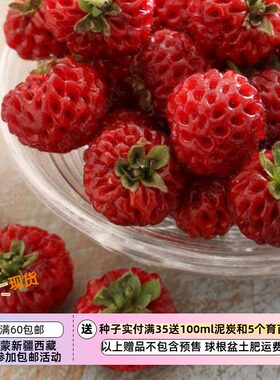 超级松莓红树莓草莓。。。