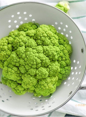 【种子】意大利传家宝 质地脆嫩 花椰菜 '绿色马切拉塔' 10粒