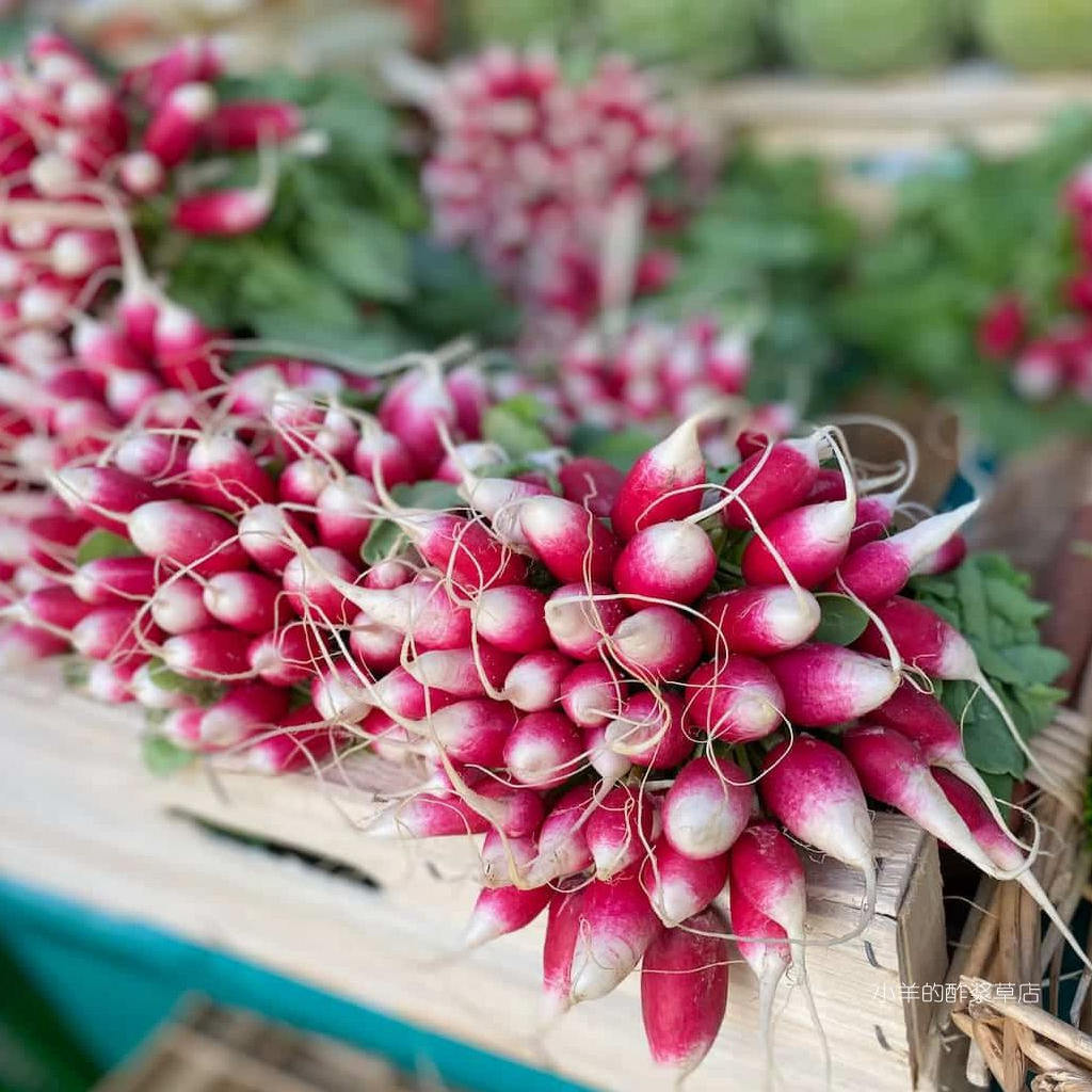 传家宝法式早餐小萝卜