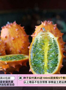 疯狂的小羊非洲角瓜果冻黄瓜