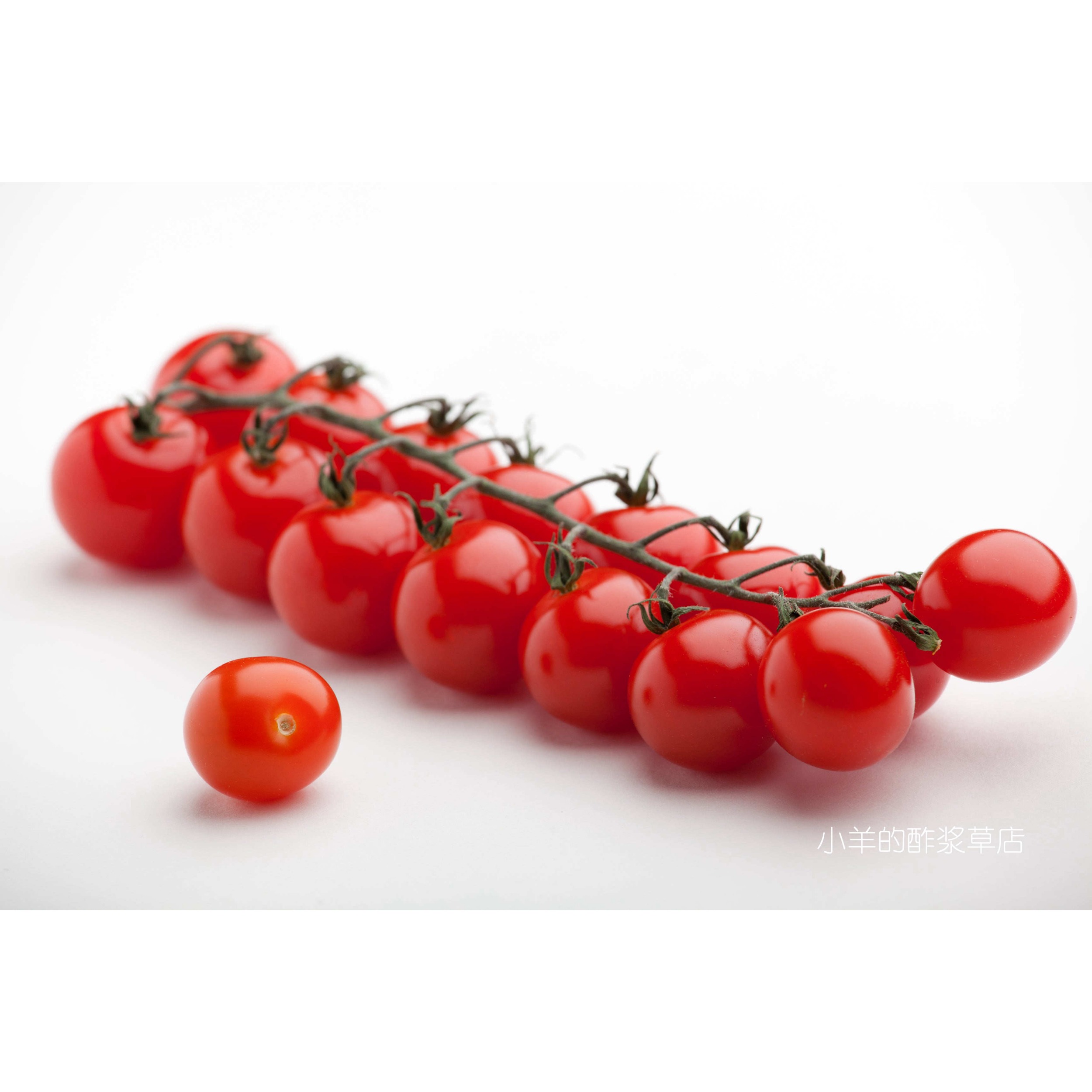 疯狂的小羊超甜一百番茄
