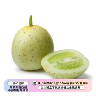 【种子】传家宝有机种子 水晶苹果黄瓜 5粒