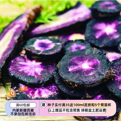 疯狂的小羊黑色系胡萝卜黑星云