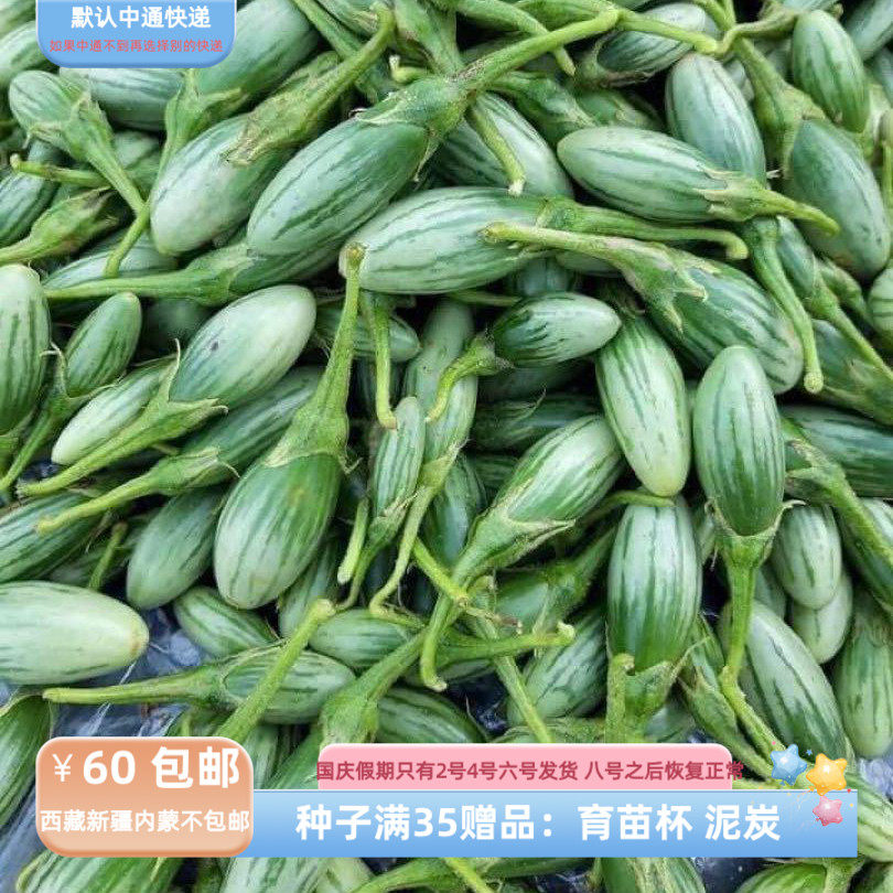 【种子】甜脆泰国小茄子 椭圆形茄子 5粒