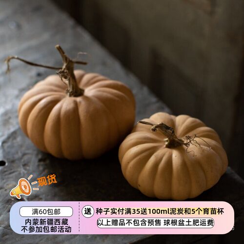 【种子】  口感细腻 独特果香 皇冠南瓜 秋冠F1 3粒
