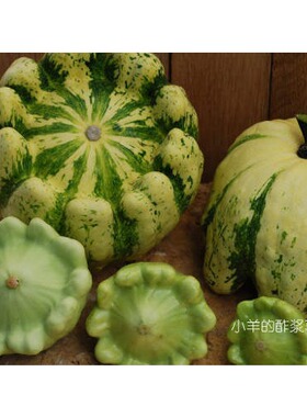 【种子】法国传家宝  嫩西葫芦 奶油绿色 5粒