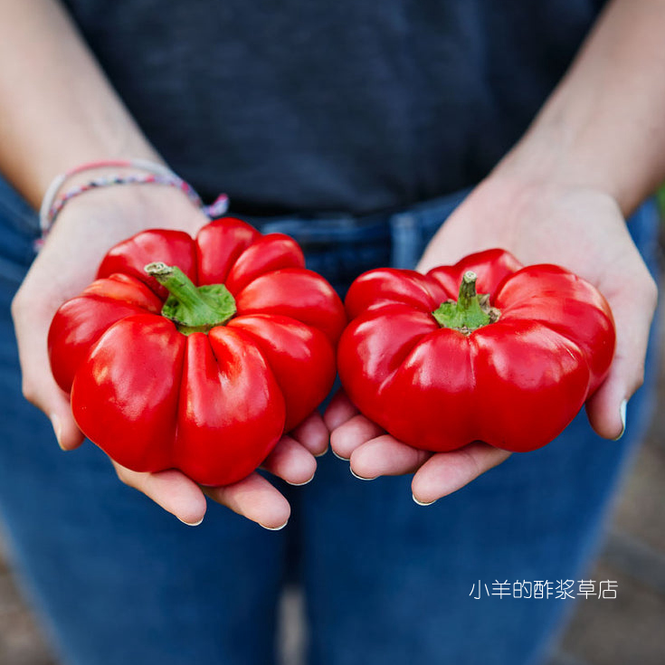 疯狂的小羊传家宝羊鼻甜椒