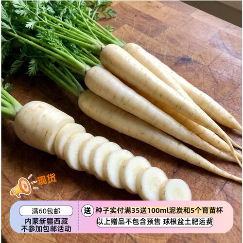 【种子】种子 可食用 口感爽脆 胡萝卜 月光白色 10粒