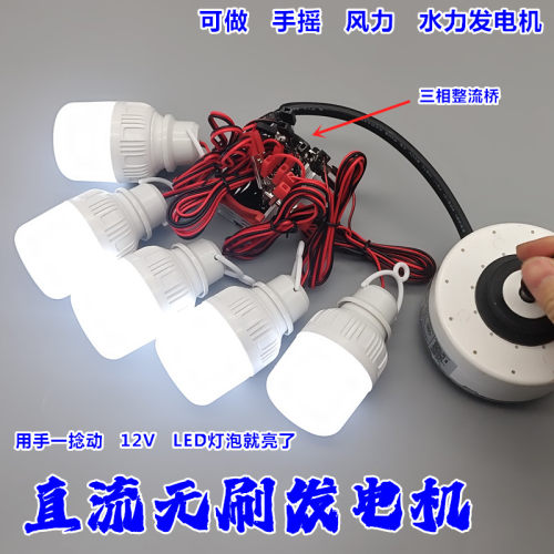 220V无刷电机 diy水力发电 风力发电 静音马达 无刷手摇发电机
