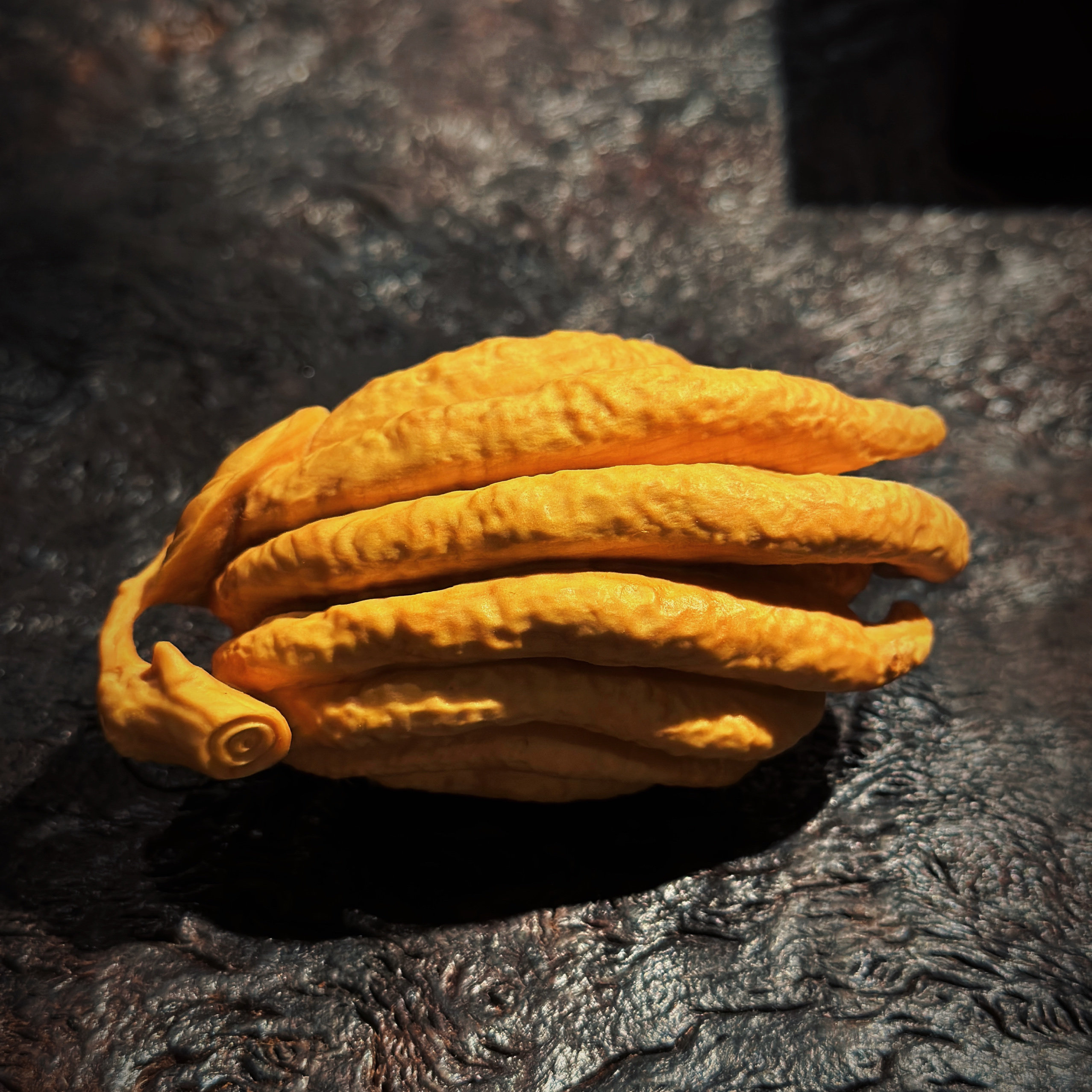 佛手瓜黄杨木摆件日式茶道茶香茶宠茶道配件手把件茶宠茶空间精品