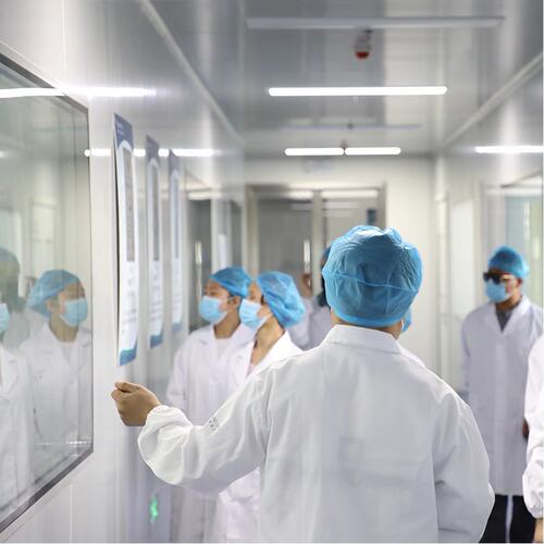 宠物猫克隆基因相同专业技术