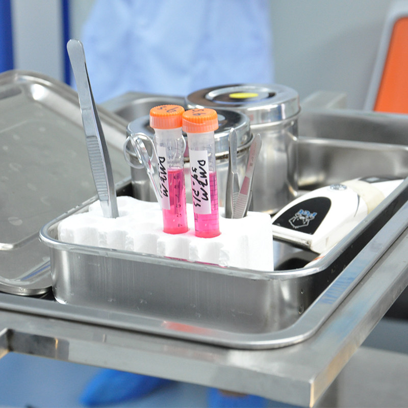 猫狗兔活体细胞保存5年表皮体取样建系宠物医院推荐