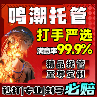 鸣潮代打代肝待带代练3.1跑全图探索度瑝珑主线任务活动版本托管
