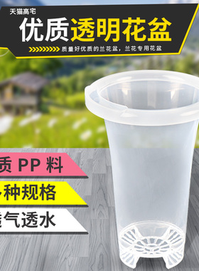 直播推荐六兰花盆塑料兰花专用盆黑色透明花卉绿植盆栽花带花盆