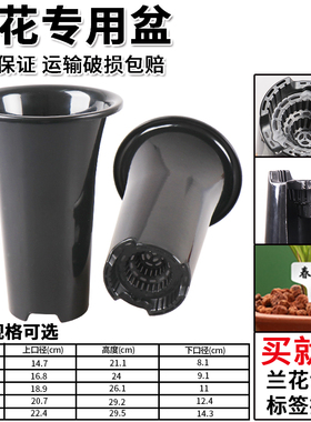 园艺兰花盆 塔型花盆塑料透气加厚黑色 排水四季兰君子兰花专用盘