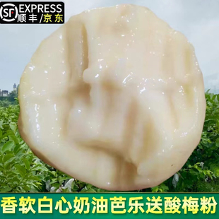 福建漳州软糯白心奶油芭乐京东顺丰包邮低糖低糖新鲜水果膳食纤维