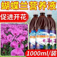 Phalaenopsis Специальное удобрение питания жидкость, способствуя цветущим жидким удобрениям питательные удобрения обычные органические удобрения