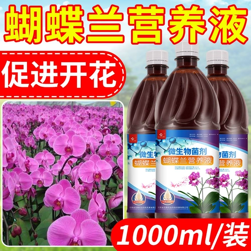 Phalaenopsis Специальное удобрение питания жидкость, способствуя цветущим жидким удобрениям питательные удобрения обычные органические удобрения