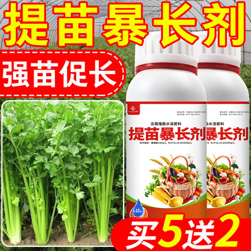 提苗暴长剂壮苗长破天果树蔬菜