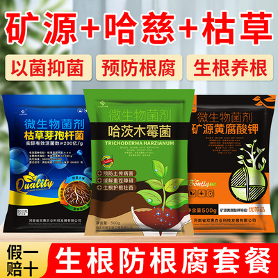 防根腐套餐微生物菌剂