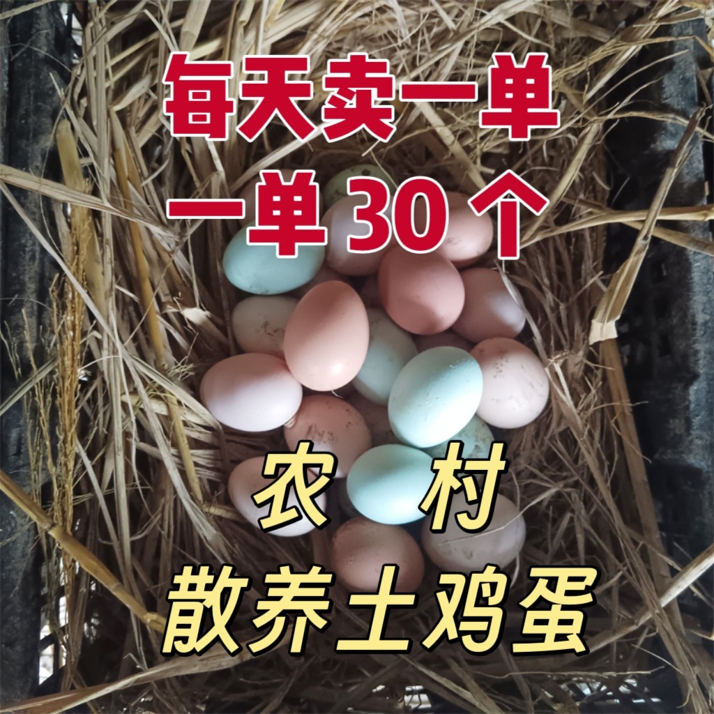 正宗农家散养土鸡蛋绿壳蛋新鲜鸡蛋贵州遵义绥阳土特产营养山鸡蛋