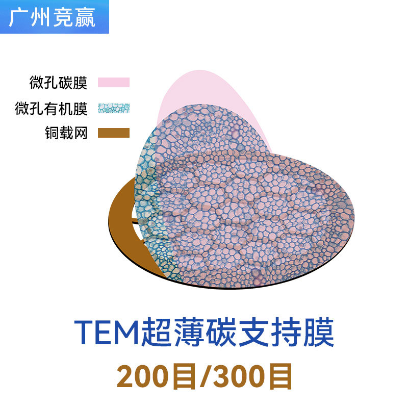 200至300目国产铜网超薄碳膜 TEM载网支持膜 透射电镜载网铜网,工业油品/胶粘/化学/实验室用品,其他实验器材,淘宝优惠券,粉丝福利购,淘宝优惠卷