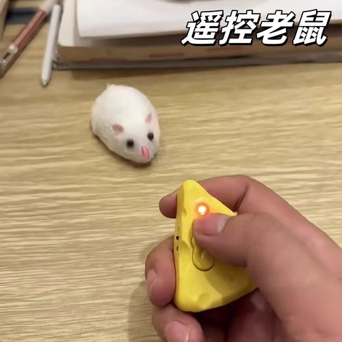 遥控老鼠电动旋转整蛊恶搞玩具猫